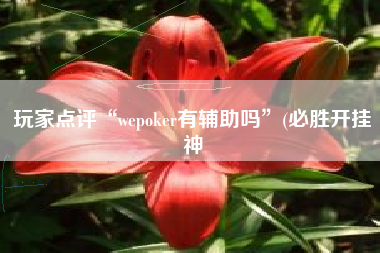 玩家点评“wepoker有辅助吗”(必胜开挂神