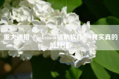 重大通报“pokemon辅助软件”(其实真的能开挂)