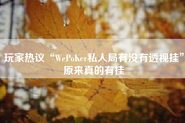 玩家热议“WePoKer私人局有没有透视挂”原来真的有挂