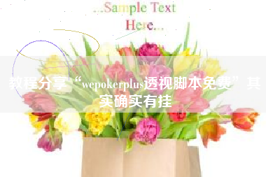 教程分享“wepokerplus透视脚本免费”其实确实有挂