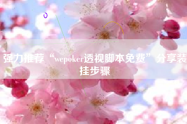 强力推荐“wepoker透视脚本免费”分享装挂步骤 强力推荐“wepoker透视脚本免费”分享装挂步骤