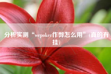 分析实测“wepoker作弊怎么用”(真的有挂)