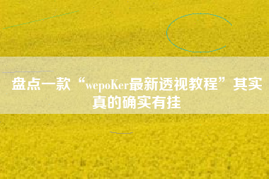 盘点一款“wepoKer最新透视教程”其实真的确实有挂 盘点一款“wepoKer最新透视教程”其实真的确实有挂