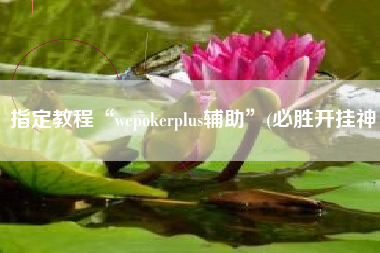 指定教程“wepokerplus辅助”(必胜开挂神