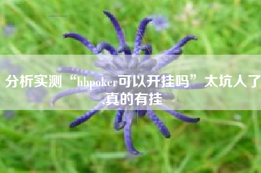 分析实测“hhpoker可以开挂吗”太坑人了,真的有挂