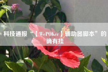 科技通报“【WePOKer】辅助器脚本”的确有挂