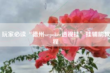 玩家必读“德州wepoker透视挂”挂辅助教程