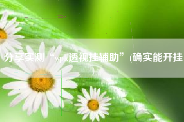 分享实测“wpk透视挂辅助”(确实能开挂) 分享实测“wpk透视挂辅助”(确实能开挂)