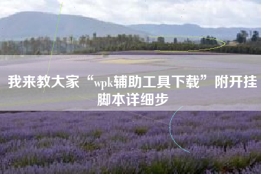 我来教大家“wpk辅助工具下载”附开挂脚本详细步