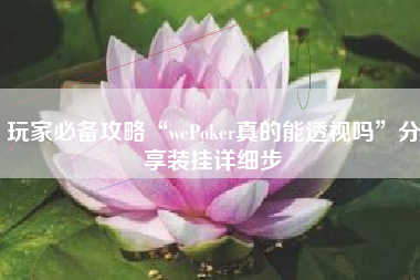 玩家必备攻略“wePoker真的能透视吗”分享装挂详细步