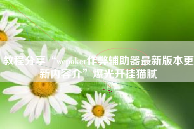 教程分享“wepoker作弊辅助器最新版本更新内容介”爆光开挂猫腻