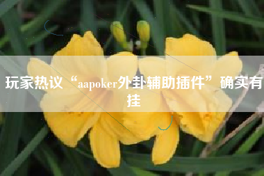 玩家热议“aapoker外卦辅助插件”确实有挂