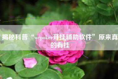 揭秘科普“wepoker开挂辅助软件”原来真的有挂