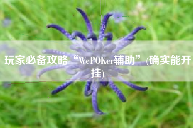 玩家必备攻略“WePOKer辅助”(确实能开挂)