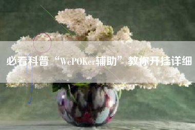 必看科普“WePOKer辅助”教你开挂详细 必看科普“WePOKer辅助”教你开挂详细