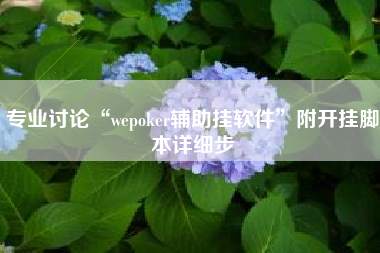 专业讨论“wepoker辅助挂软件”附开挂脚本详细步 专业讨论“wepoker辅助挂软件”附开挂脚本详细步